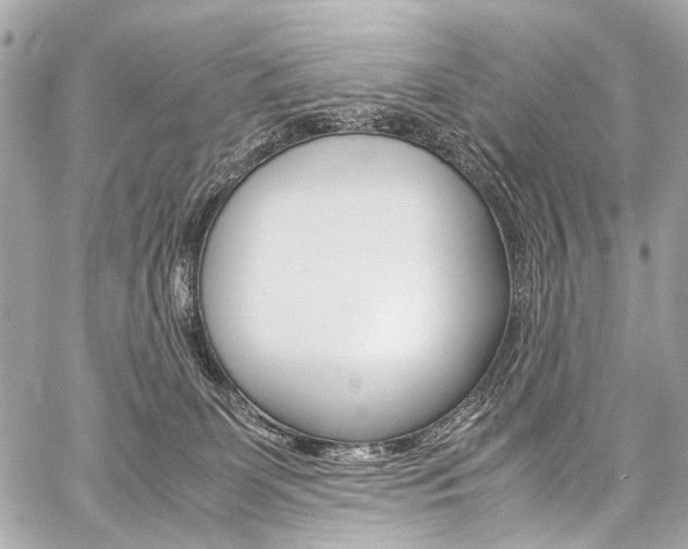 X0000059250131200510140855