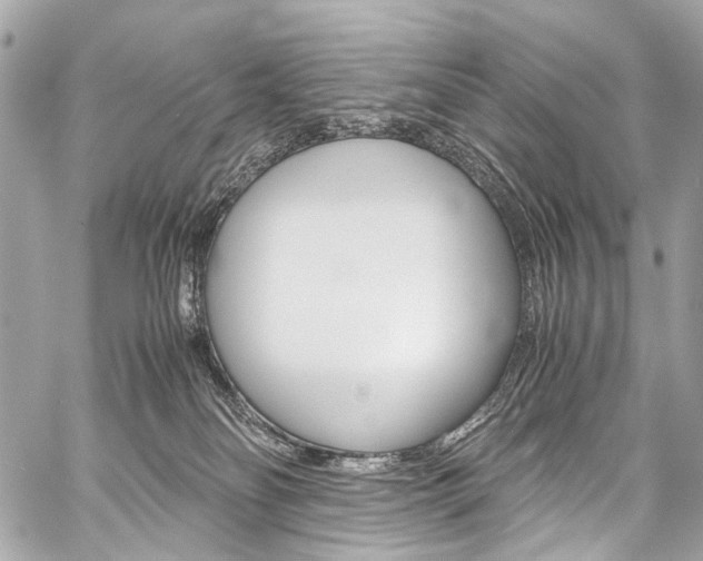 X0000059250134200510140855