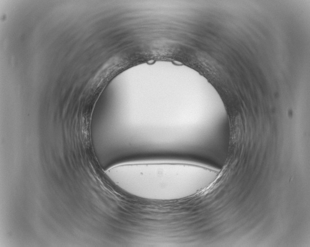 X0000059250140200510140855