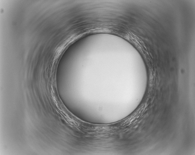 X0000059250145200510140854
