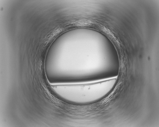 X0000059250201200510140854
