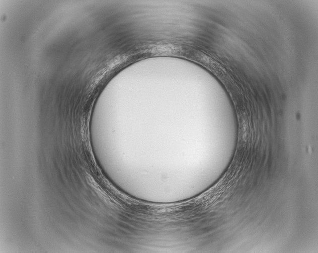 X0000059250208200510140854