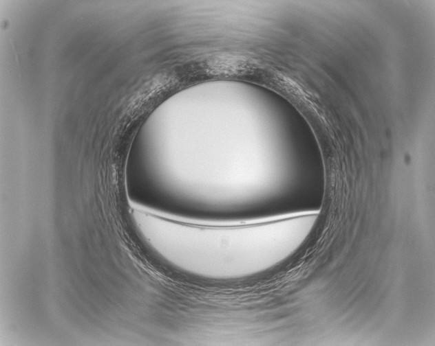 X0000059250211200510140854