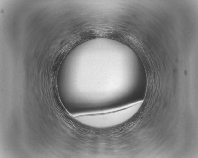 X0000059250221200510140854