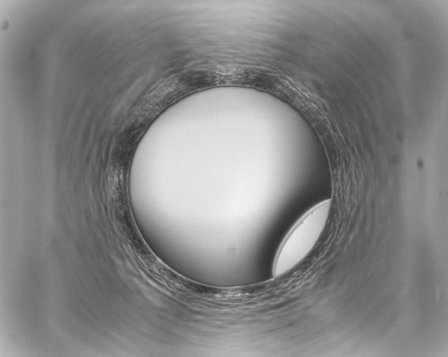 X0000059250225200510140853
