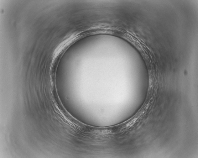 X0000059250245200510140852