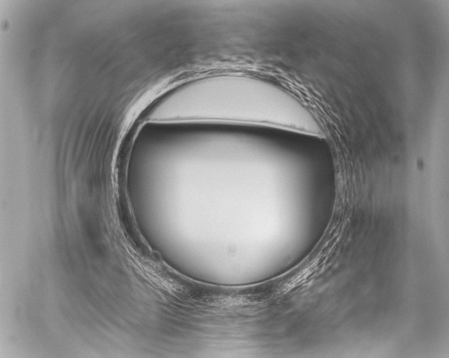 X0000059250246200510140852