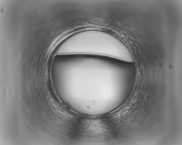 X0000059250247200510140852