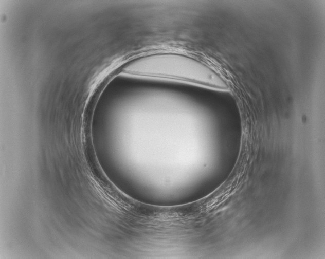 X0000059250248200510140852