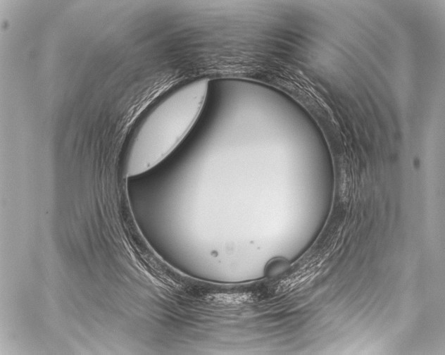 X0000059250251200510140852