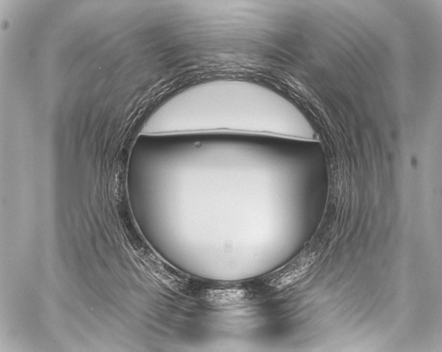X0000059250266200510140853