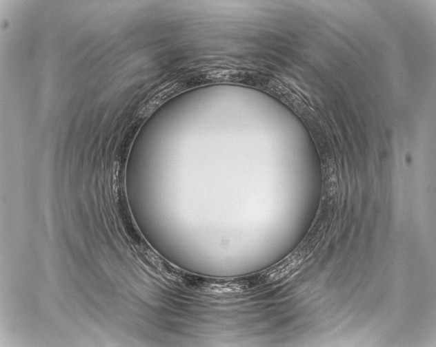 X0000059250275200510140853