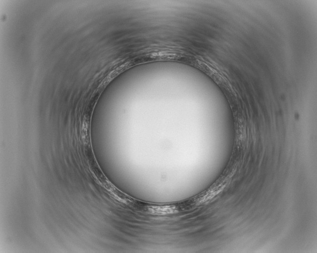 X0000059250281200510140853
