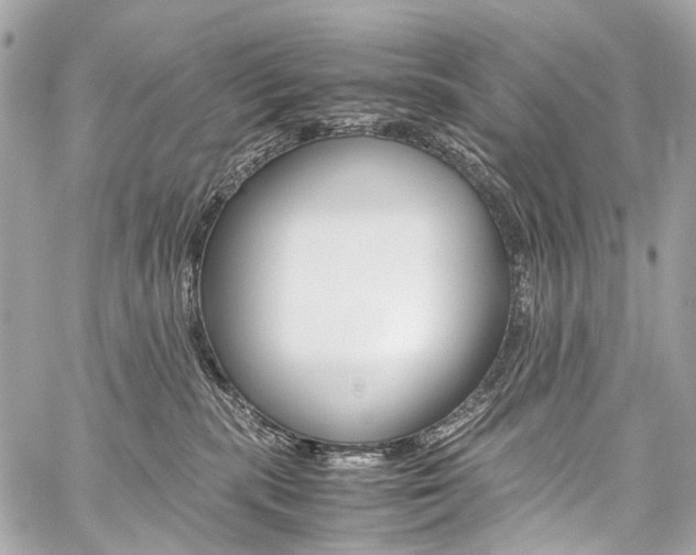 X0000059250283200510140853