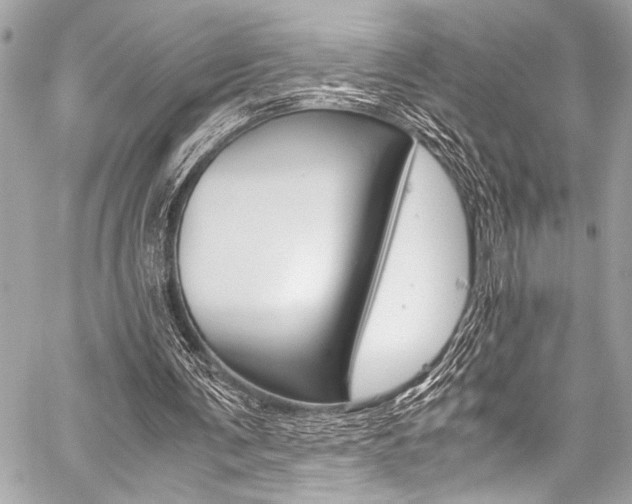 X0000059250291200510140852