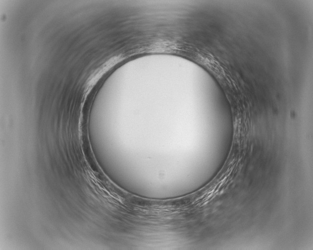 X0000059250292200510140852