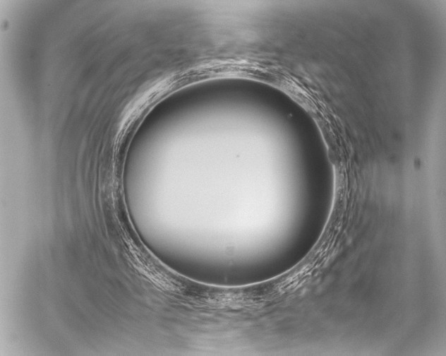 X0000059250293200510140852