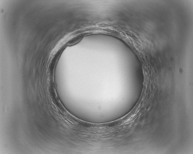 X0000059250295200510140852