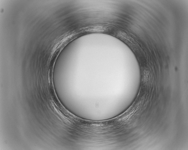 X0000059250302200510140852