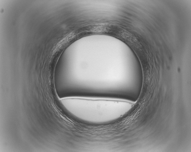 X0000059250303200510140852