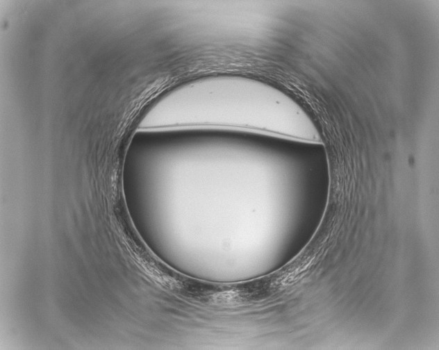 X0000059250309200510140852