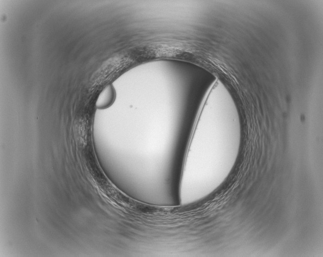 X0000059250311200510140852