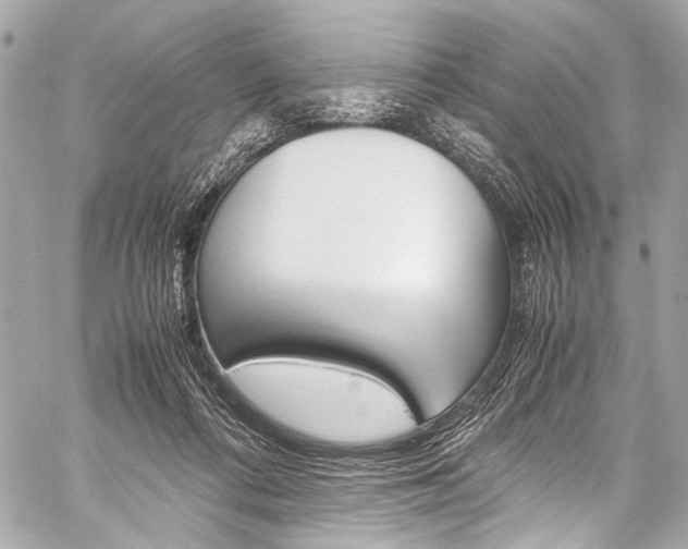 X0000059250312200510140852