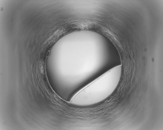 X0000059250313200510140852