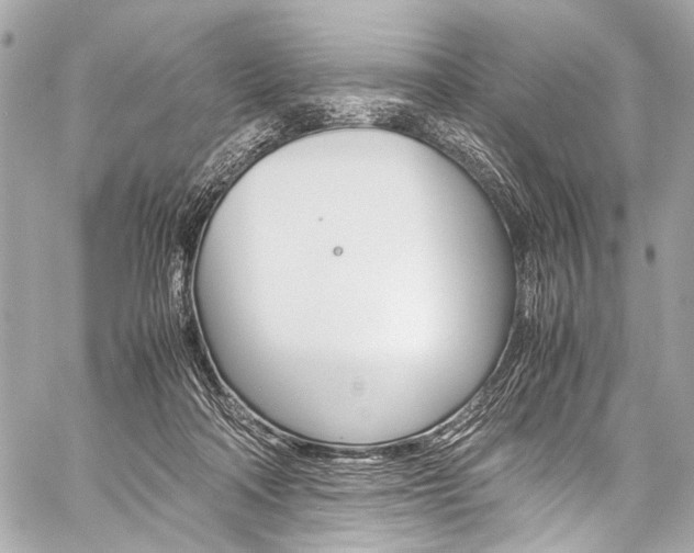 X0000059250314200510140852