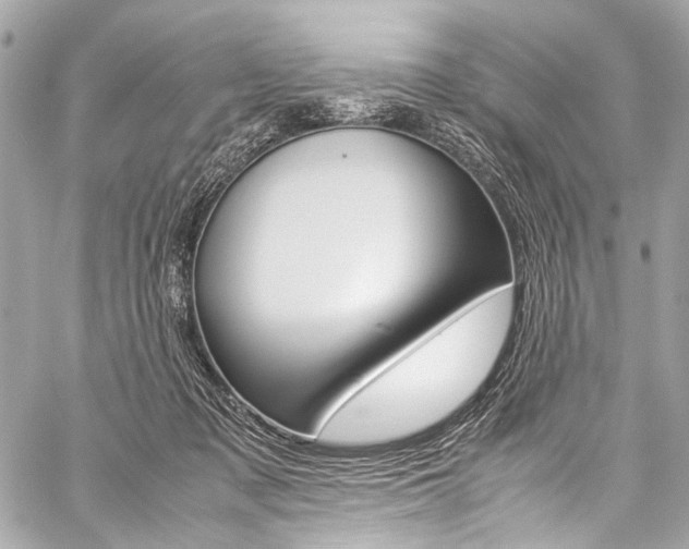 X0000059250317200510140852