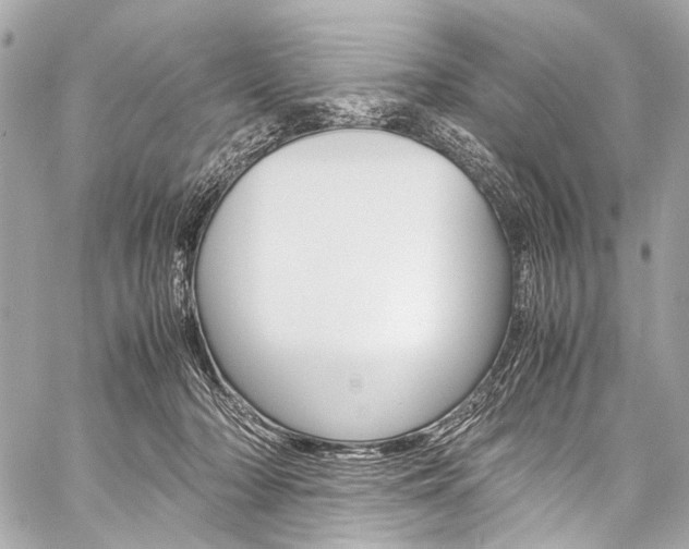 X0000059250318200510140852