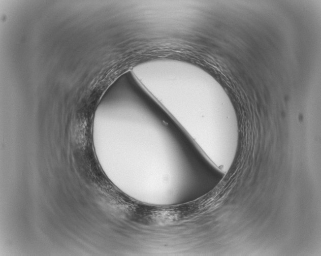 X0000059250319200510140852
