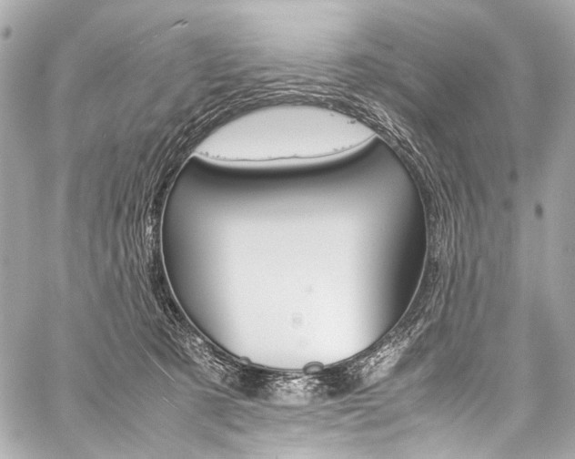 X0000059250321200510140852