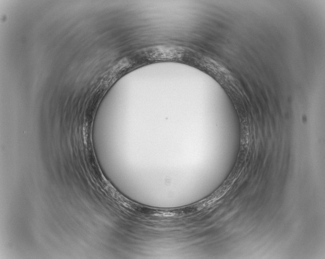 X0000059250326200510140852