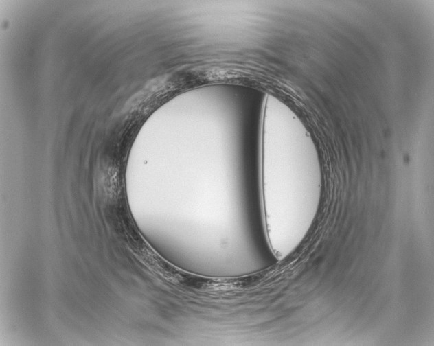 X0000059250327200510140852