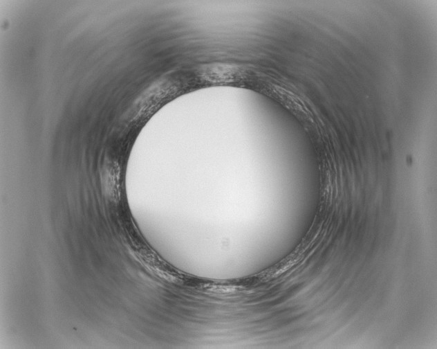 X0000059250332200510140852