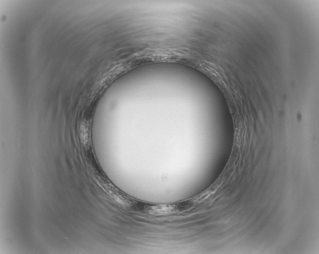 X0000059250335200510140852