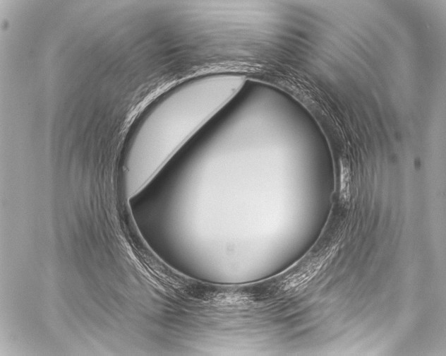 X0000059250348200510140851