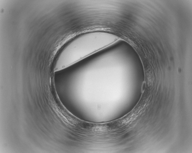 X0000059250350200510140851