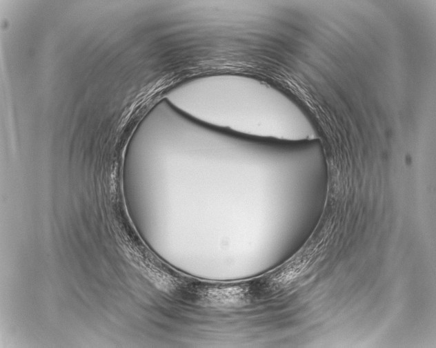 X0000059250357200510140851