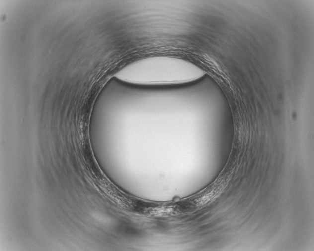 X0000059250366200510140851