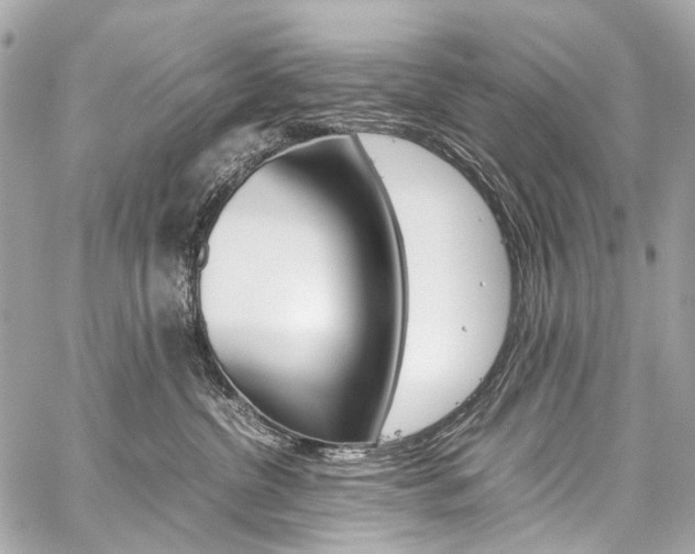 X0000059250380200510140851