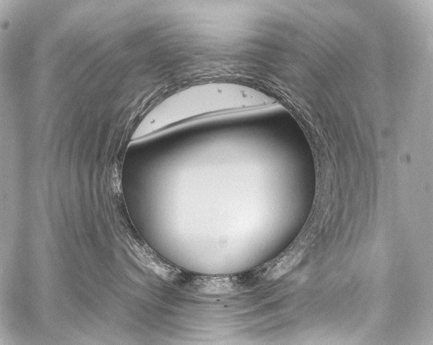 X0000059250384200510140852