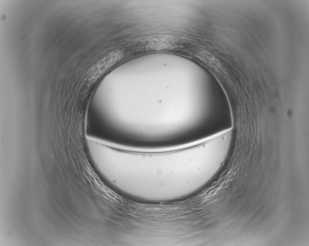 X0000059250393200510140851