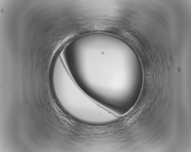 X0000059250395200510140851