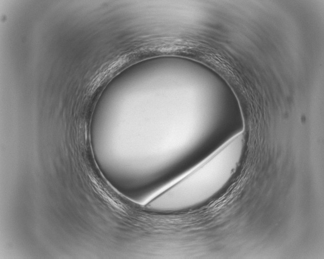 X0000059250397200510140851