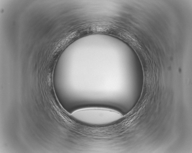 X0000059250401200510140850