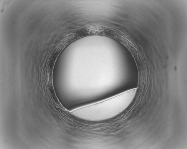 X0000059250417200510140850