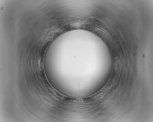 X0000059250420200510140850