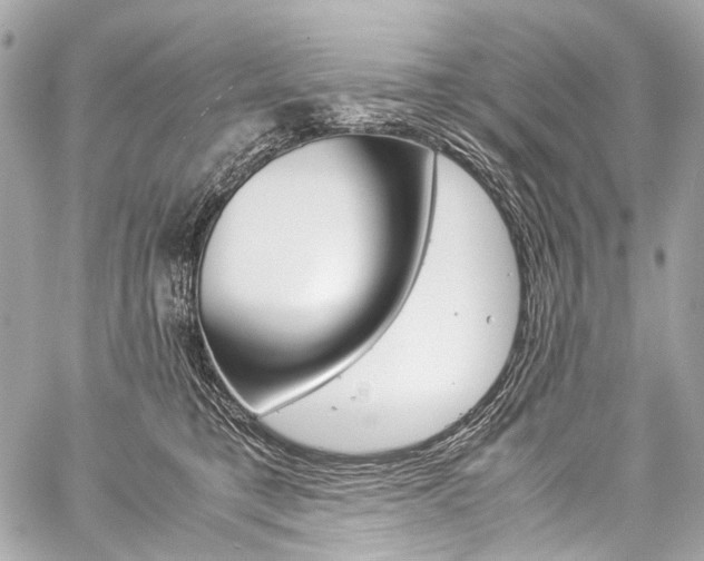 X0000059250421200510140850